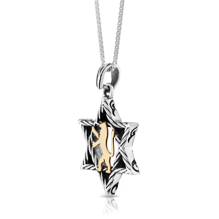 925 Sterling Silver Star of David with 9K Gold Lion of Judah Pendant, men Sterling Silver necklace, jewish jewelry