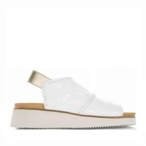 BRESLEY PRAXIS WHITE PAT