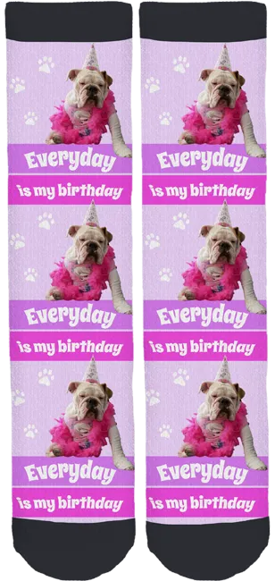 Cookie The English Bulldog "Birthday" Socks