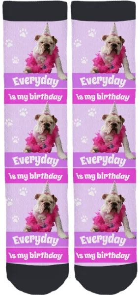 Cookie The English Bulldog "Birthday" Socks