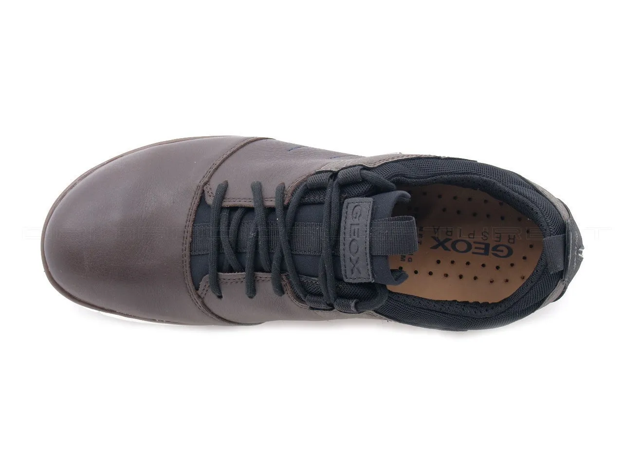 Geox uomo scarpe Nebula Amphibiox