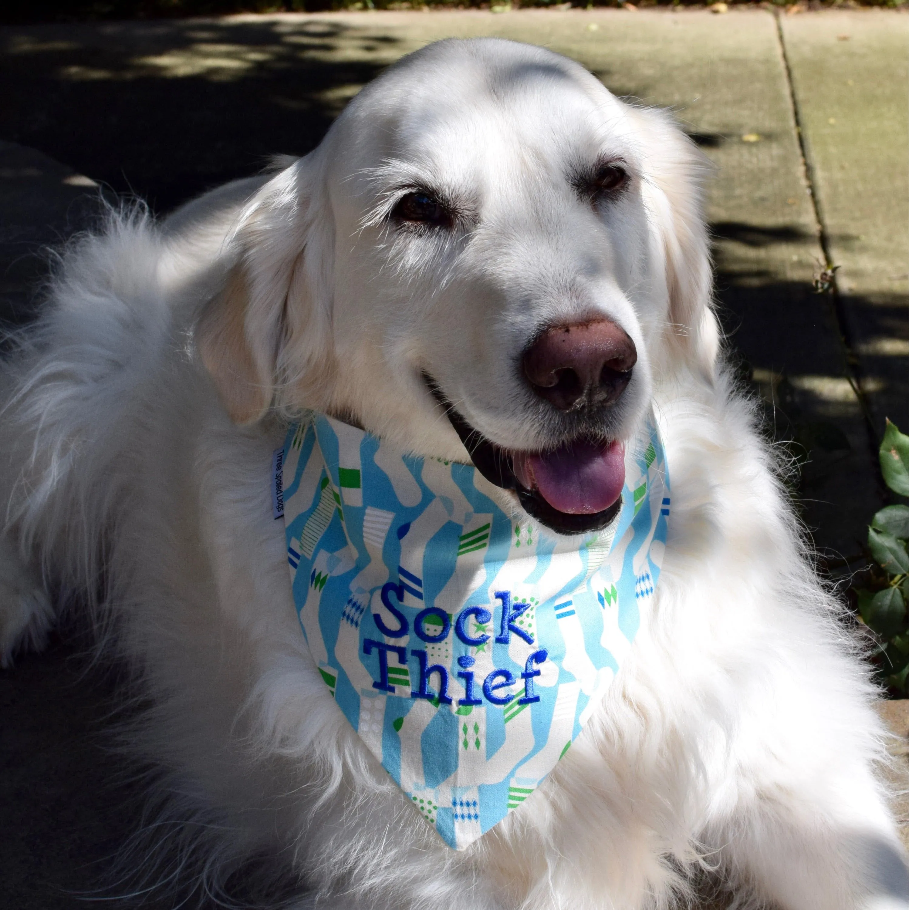 Sock Thief Dog Bandanas