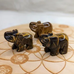 Tiger's Eye Elephant Carvings